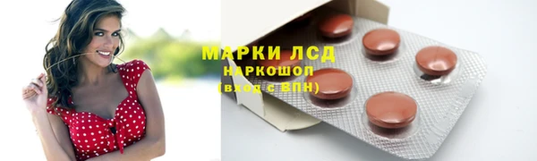 гидра Алексин