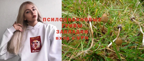 гидра Алексин