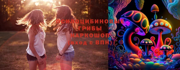 2c-b Алзамай