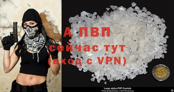 гидра Алексин