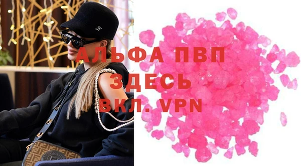 гидра Алексин