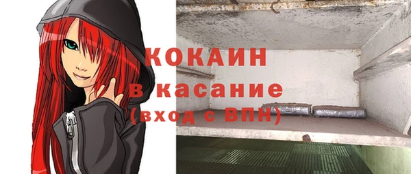 гидра Алексин